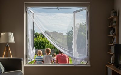 Jak skutecznie ochronić swój dom przed owadami?